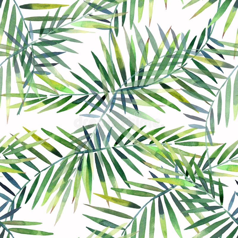 Il bello modello floreale meraviglioso tropicale di erbe verde luminoso dell'estate dell'Hawai di una palma e di un monstera trop illustrazione vettoriale Il bello modello floreale meraviglioso tropicale di erbe verde luminoso dell'estate dell'Hawai di una palma e di un monstera trop illustrazione vettoriale