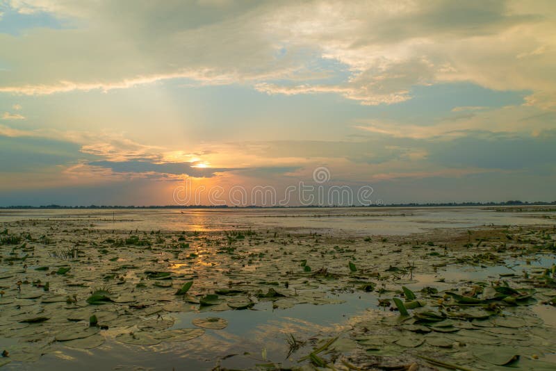 Il bello tramonto dell'estate con luce solare ha riflesso nell'acqua di un lago fotografia stock libera da diritti Il bello tramonto dell'estate con luce solare ha riflesso nell'acqua di un lago fotografia stock libera da diritti