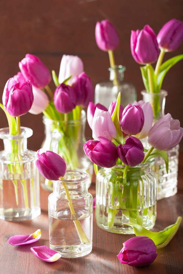 Il bello tulipano porpora fiorisce il mazzo in vasi immagini stock libere da diritti Il bello tulipano porpora fiorisce il mazzo in vasi immagini stock libere da diritti