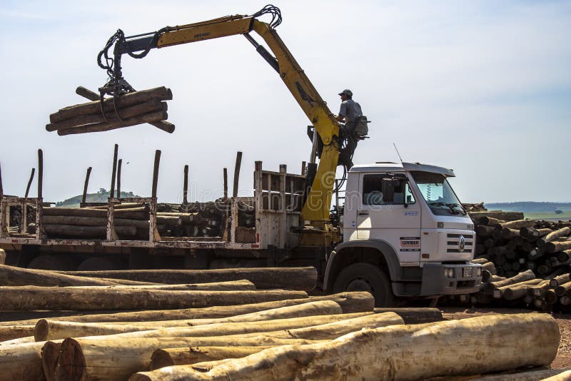 Il camion carica i registri eucalyptus per l'industria immagine stock libera da diritti Il camion carica i registri eucalyptus per l'industria immagine stock libera da diritti