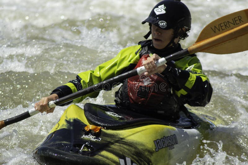 Il cavaliere giallo dell'acqua bianca sul fiume immagini stock libere da diritti