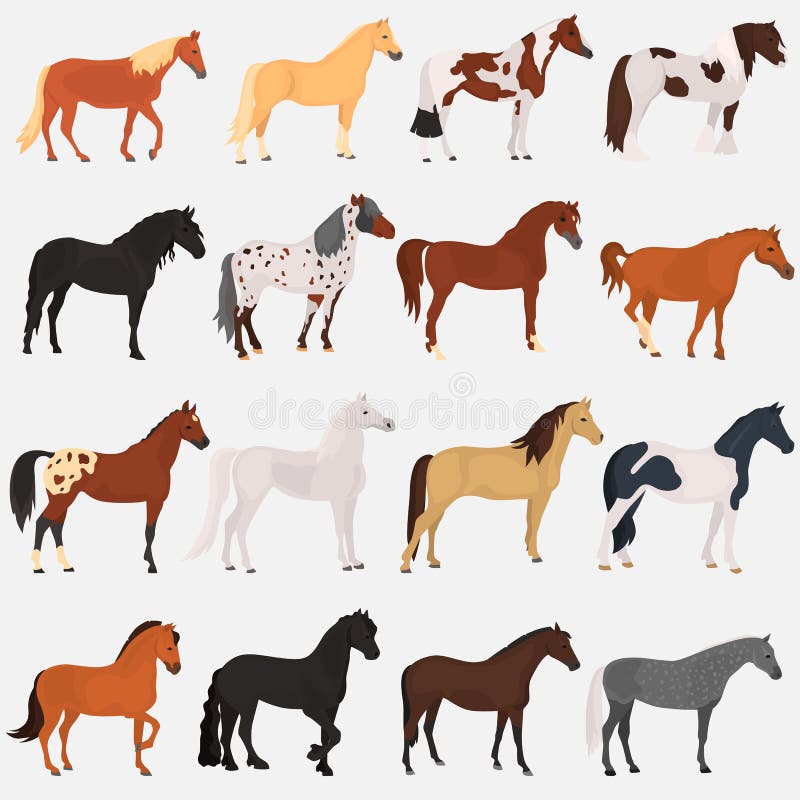 Horse breeds color flat icons set for web and mobile design. Horse breeds color flat icons set for web and mobile design