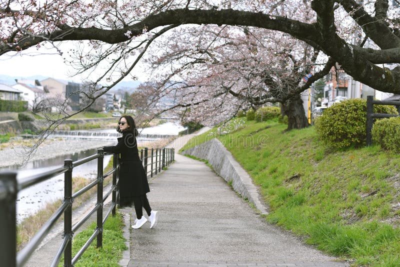 Il ciliegio sakura fiorisce in fiore di una donna asiatica in piena fioritura sotto l'albero del fiore rosa. fotografia stock
