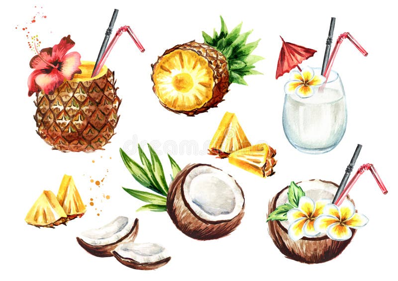 Il cocktail di colada di Pina ha messo con la noce di cocco e l'ananas Illustrazione disegnata a mano dell'acquerello, isolata su royalty illustrazione gratis Il cocktail di colada di Pina ha messo con la noce di cocco e l'ananas Illustrazione disegnata a mano dell'acquerello, isolata su royalty illustrazione gratis