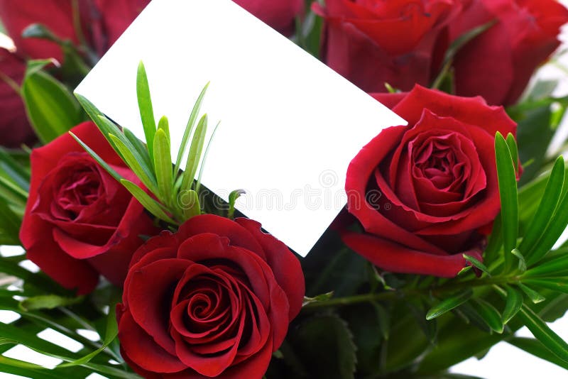 Il colore rosso è aumentato 5 immagine stock Il colore rosso è aumentato 5 immagine stock