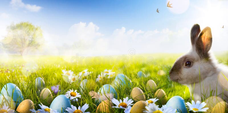 Il coniglietto di Art Easter, le uova di Pasqua e la molla fioriscono