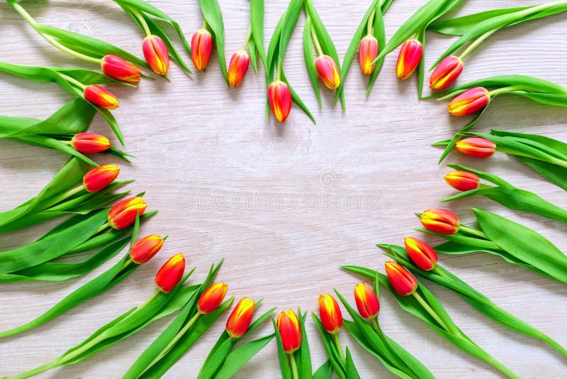 Il cuore dai tulipani rossi fiorisce sulla tavola rustica per il giorno dell'8 marzo, di Giornata internazionale della donna, di