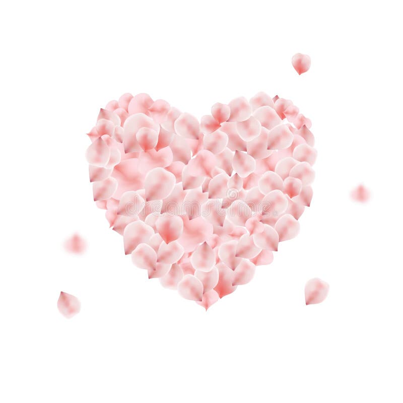 Il cuore ha fatto dal petalo rosa rosa illustrazione vettoriale Il cuore ha fatto dal petalo rosa rosa illustrazione vettoriale