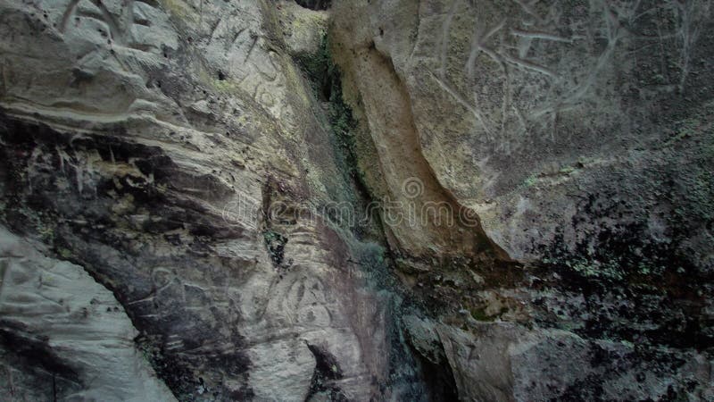 Il dirupo di sietiniezis rock latvia. parco nazionale della gauja. pista turistica della foresta di pini con passeggiata vicino a