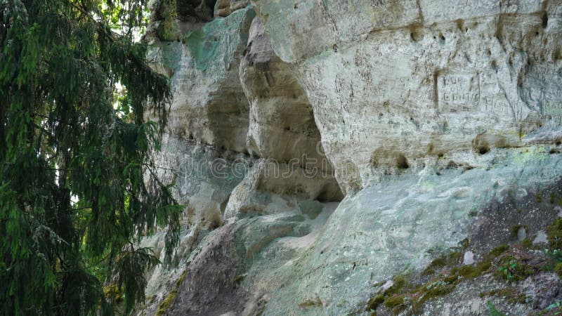 Il dirupo di sietiniezis rock latvia. parco nazionale della gauja. pista turistica della foresta di pini con passeggiata vicino a