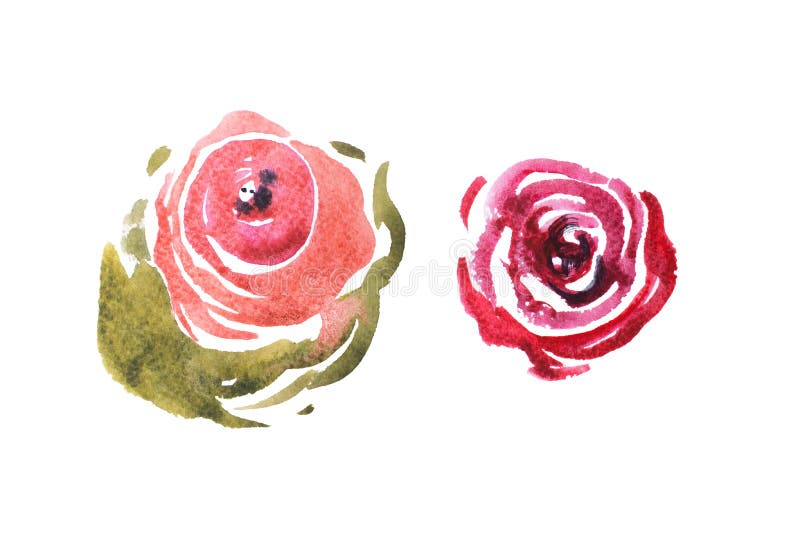 Il disegno dell'acquerello del giardino fresco fiorisce, pittura dell'acquerello del mazzo del prato dell'estate illustrazione di stock