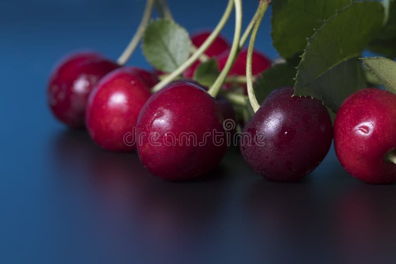 Il est temps de cerise images stock Il est temps de cerise images stock