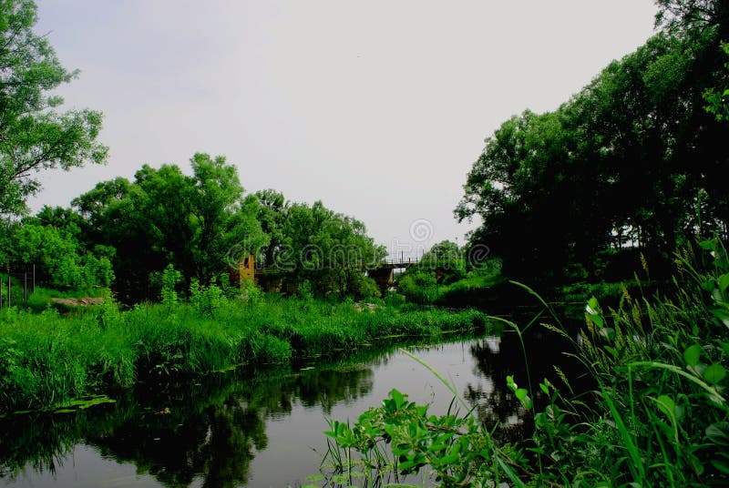 Il fiume circondato dagli alberi verdi fotografia stock Il fiume circondato dagli alberi verdi fotografia stock
