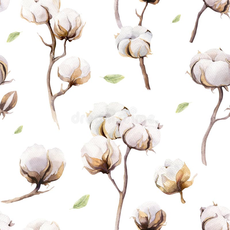 Il fondo d'annata dell'acquerello con i ramoscelli ed il cotone fiorisce il boho illustrazione di stock Il fondo d'annata dell'acquerello con i ramoscelli ed il cotone fiorisce il boho illustrazione di stock