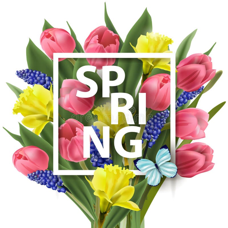 Il fondo della primavera con con la molla fiorisce, tulipani, i narcisi, Muscari Vettore royalty illustrazione gratis Il fondo della primavera con con la molla fiorisce, tulipani, i narcisi, Muscari Vettore royalty illustrazione gratis