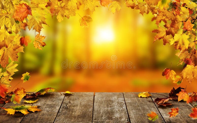 Il fondo di autunno con le foglie cadenti e svuota la tavola di legno immagini stock