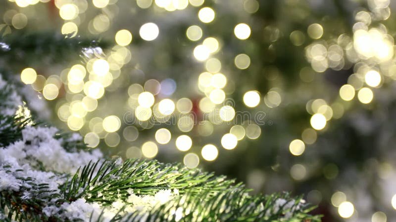 Il fondo di Natale, il ramo di albero, neve, accende il bokeh