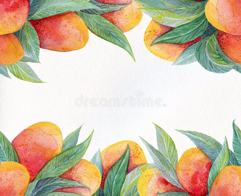 Il fondo variopinto con l'acquerello fruttifica struttura del mango Frutta del mango dell'acquerello e primo piano delle foglie i royalty illustrazione gratis Il fondo variopinto con l'acquerello fruttifica struttura del mango Frutta del mango dell'acquerello e primo piano delle foglie i royalty illustrazione gratis