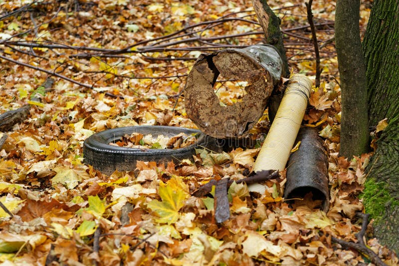 Il giacimento nella foresta su un albero, le gomme di automobile, il residuo di metallo, le componenti, foglie dell'immondizia di immagine stock Il giacimento nella foresta su un albero, le gomme di automobile, il residuo di metallo, le componenti, foglie dell'immondizia di immagine stock