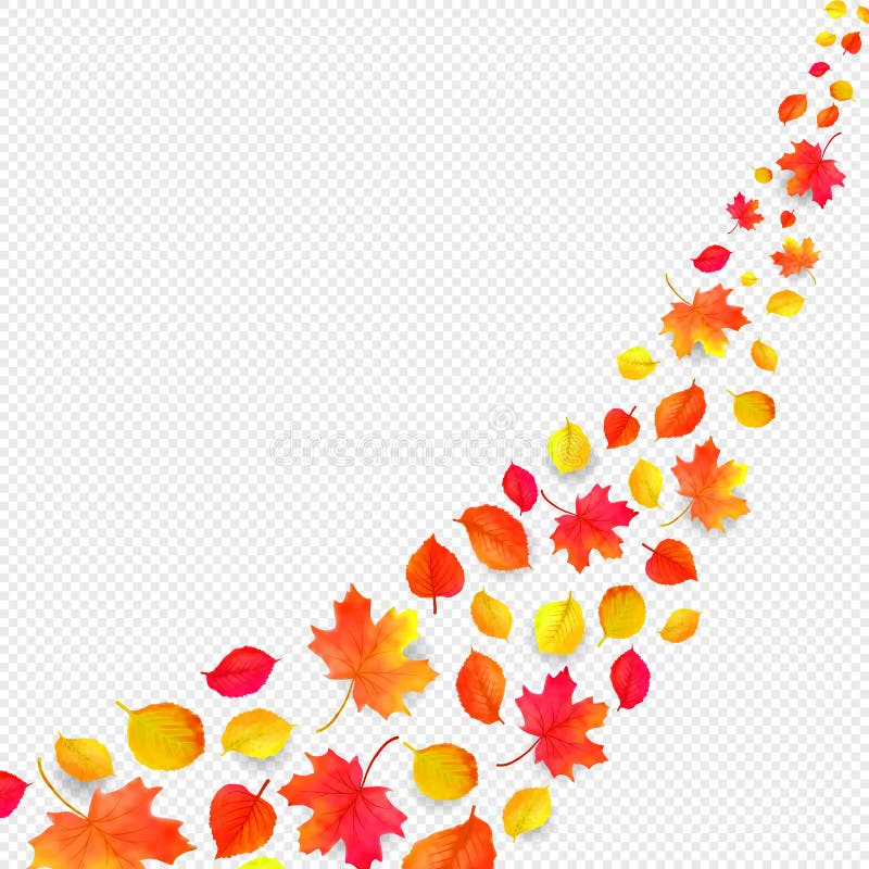 Il giallo lascia la caduta dal cielo nella stagione bianca di autunno del fondo - isolata illustrazione vettoriale Il giallo lascia la caduta dal cielo nella stagione bianca di autunno del fondo - isolata illustrazione vettoriale