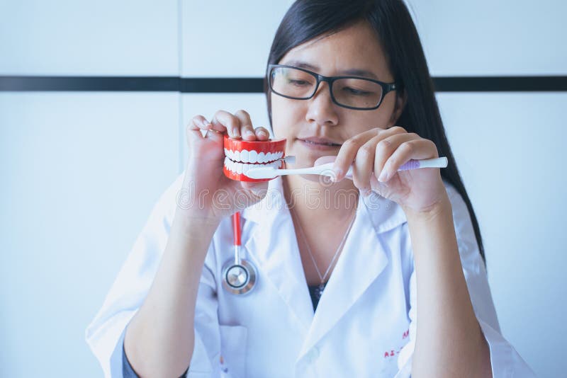 Il giovane dentista asiatico della donna diagnostica i modelli di plastica con lo spazzolino da denti, concetto dei denti di cont