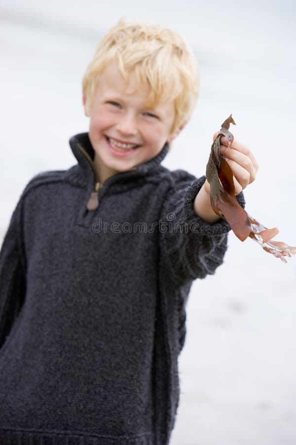 Il giovane ragazzo che si leva in piedi sulla holding della spiaggia lascia sorridere fotografia stock libera da diritti Il giovane ragazzo che si leva in piedi sulla holding della spiaggia lascia sorridere fotografia stock libera da diritti