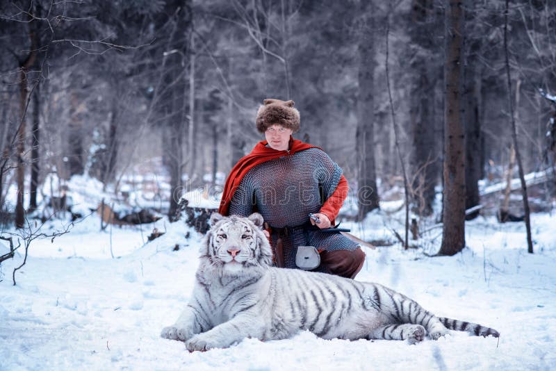 Il guerriero sta su un ginocchio accanto ad una tigre bianca immagine stock Il guerriero sta su un ginocchio accanto ad una tigre bianca immagine stock