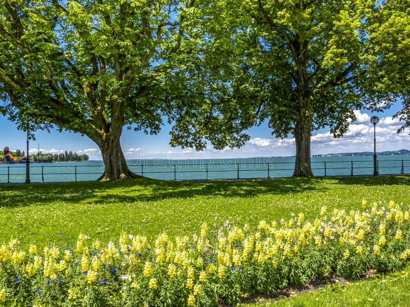 Il lago di Costanza, vista della passeggiata di Bodensee in Bregenz, Austria fotografie stock libere da diritti Il lago di Costanza, vista della passeggiata di Bodensee in Bregenz, Austria fotografie stock libere da diritti