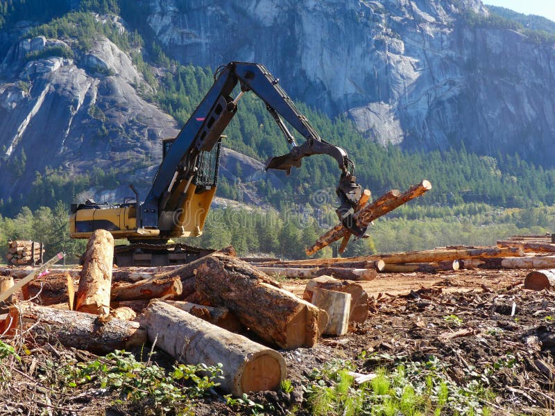 Il legname commovente del sollevatore di legno accatasta l'affare immagini stock libere da diritti Il legname commovente del sollevatore di legno accatasta l'affare immagini stock libere da diritti