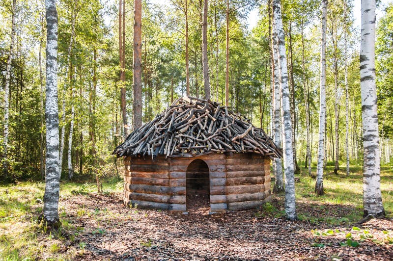Il legname ha fatto la capanna nella foresta della betulla immagine stock libera da diritti Il legname ha fatto la capanna nella foresta della betulla immagine stock libera da diritti