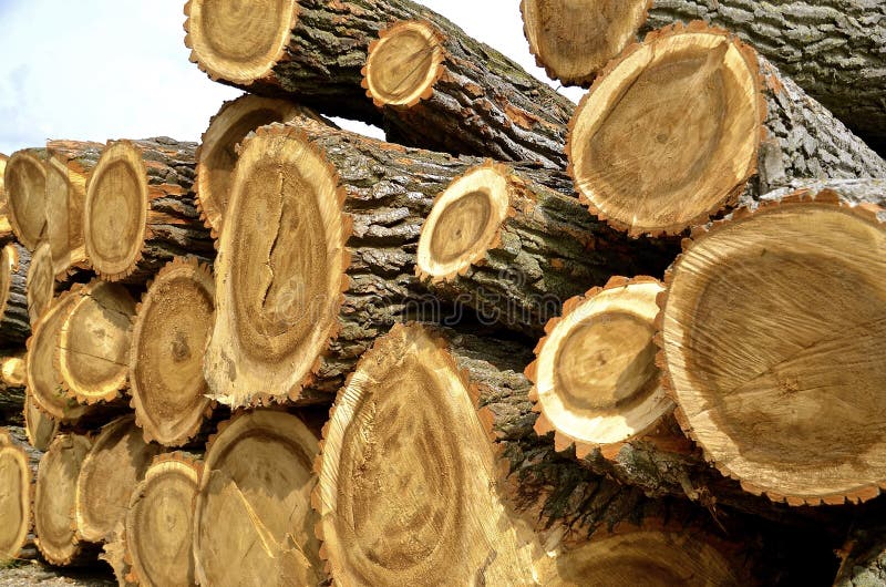 Il legno enorme collega una pila immagini stock libere da diritti Il legno enorme collega una pila immagini stock libere da diritti