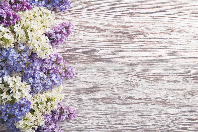 Il lillà fiorisce il mazzo sul fondo di legno della plancia, porpora della primavera