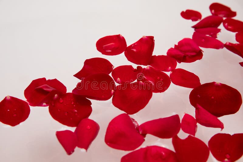 Il lusso romantico, il giorno di biglietti di S. Valentino è aumentato petalo in acqua di bagno, la stazione termale domestica, s fotografie stock Il lusso romantico, il giorno di biglietti di S. Valentino è aumentato petalo in acqua di bagno, la stazione termale domestica, s fotografie stock