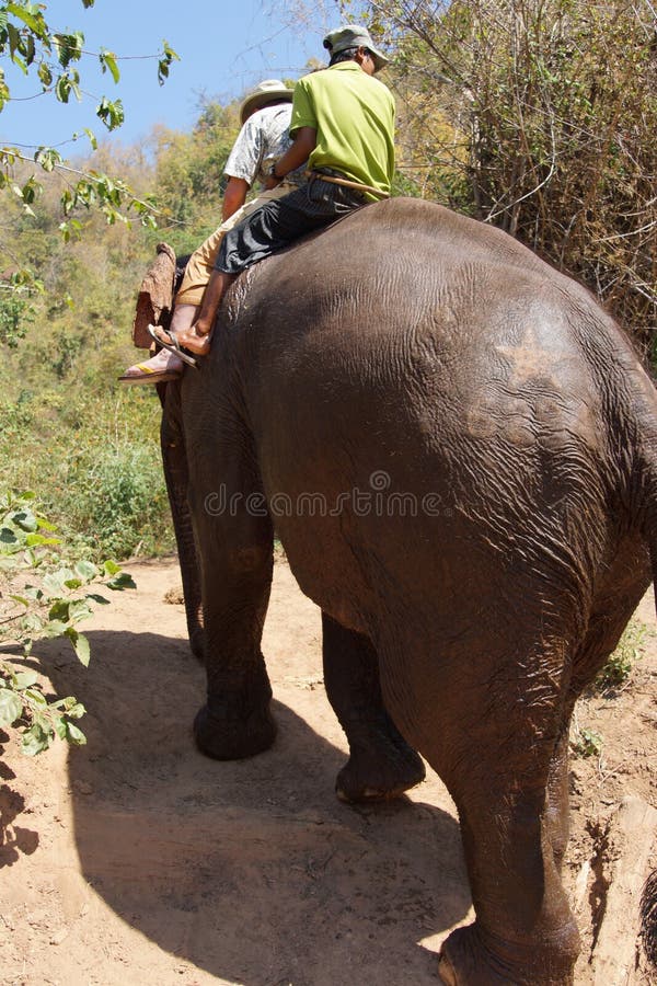Il Mahout guida il suo elefante fotografia stock libera da diritti