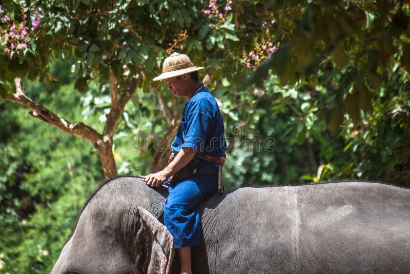 Il Mahout guida un elefante immagini stock libere da diritti