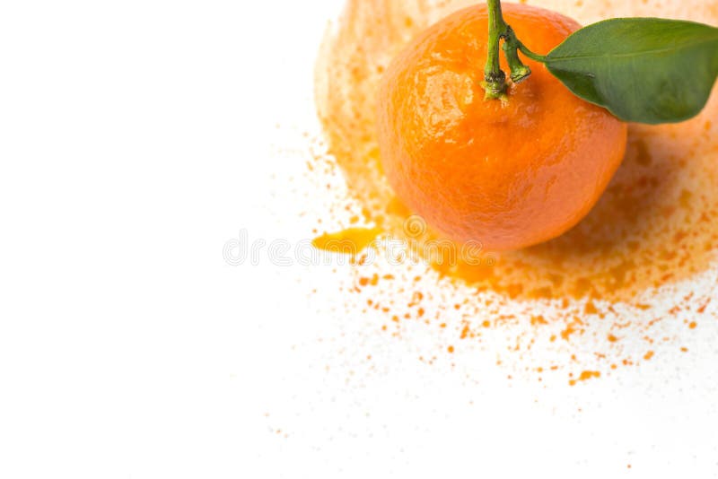 Il mandarino arancio luminoso crudo maturo con l'acquerello dipinto della foglia di verde del gambo a disposizione spruzza il fon fotografia stock Il mandarino arancio luminoso crudo maturo con l'acquerello dipinto della foglia di verde del gambo a disposizione spruzza il fon fotografia stock