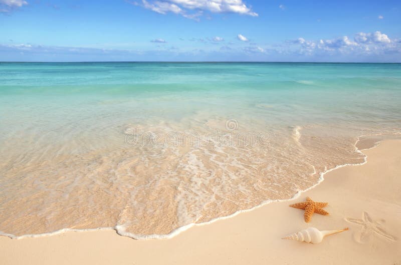 Il mare sgrana il turchese i Caraibi della sabbia delle stelle marine