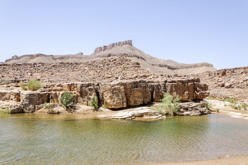 Il Marocco, Hamada du Draa, stagno fotografie stock Il Marocco, Hamada du Draa, stagno fotografie stock