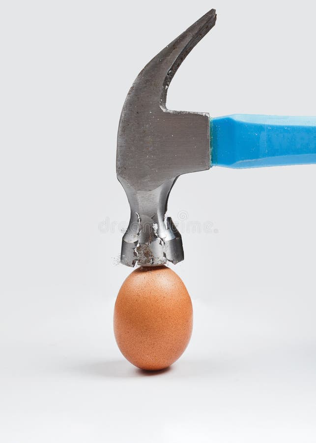 Il martello sta rompendo l'uovo del pollo Concetto di forza, durevolezza, resistenza di sforzo, coraggio fotografia stock Il martello sta rompendo l'uovo del pollo Concetto di forza, durevolezza, resistenza di sforzo, coraggio fotografia stock