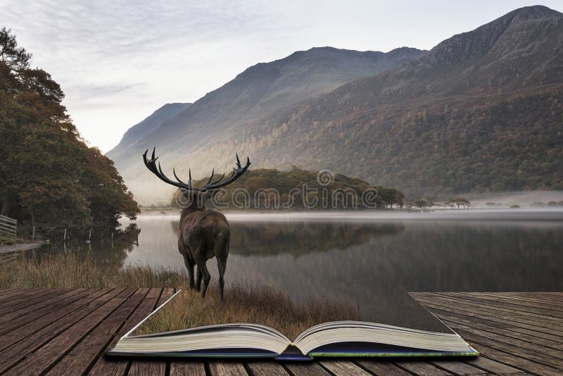 Il maschio potente sbalorditivo dei cervi nobili guarda fuori attraverso il lago verso il Mo fotografia stock Il maschio potente sbalorditivo dei cervi nobili guarda fuori attraverso il lago verso il Mo fotografia stock