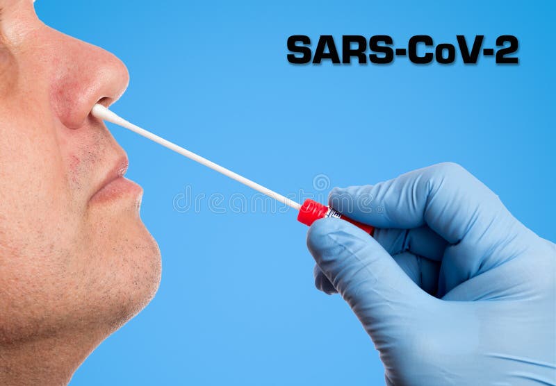 Doctor makes with a cotton swab a nasal swab test. Doctor makes with a cotton swab a nasal swab test