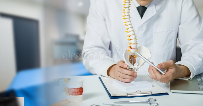 The doctor shows the spine problem areas in the clinic background. The doctor shows the spine problem areas in the clinic background