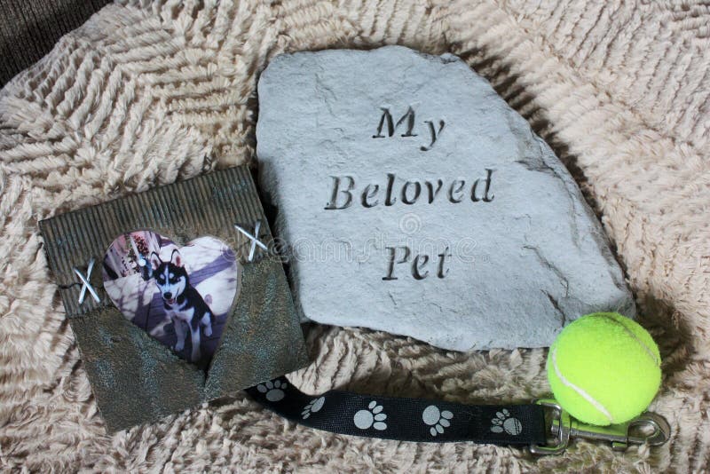 Il mio memoriale caro dell'animale domestico sul letto del cane
