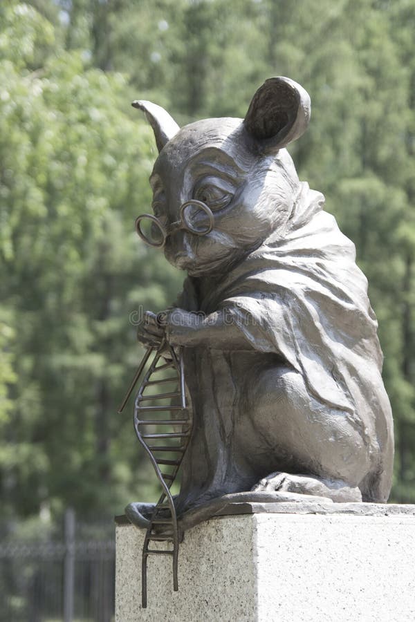 Il monumento al topo del laboratorio è una scultura nella città di Novosibirsk in Siberia, Russia È situato in un parco davanti a fotografie stock libere da diritti Il monumento al topo del laboratorio è una scultura nella città di Novosibirsk in Siberia, Russia È situato in un parco davanti a fotografie stock libere da diritti