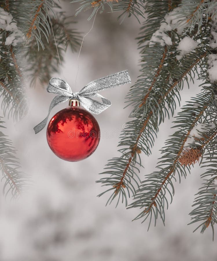 Il Natale orna pendere dall'albero all'aperto immagine stock libera da diritti Il Natale orna pendere dall'albero all'aperto immagine stock libera da diritti