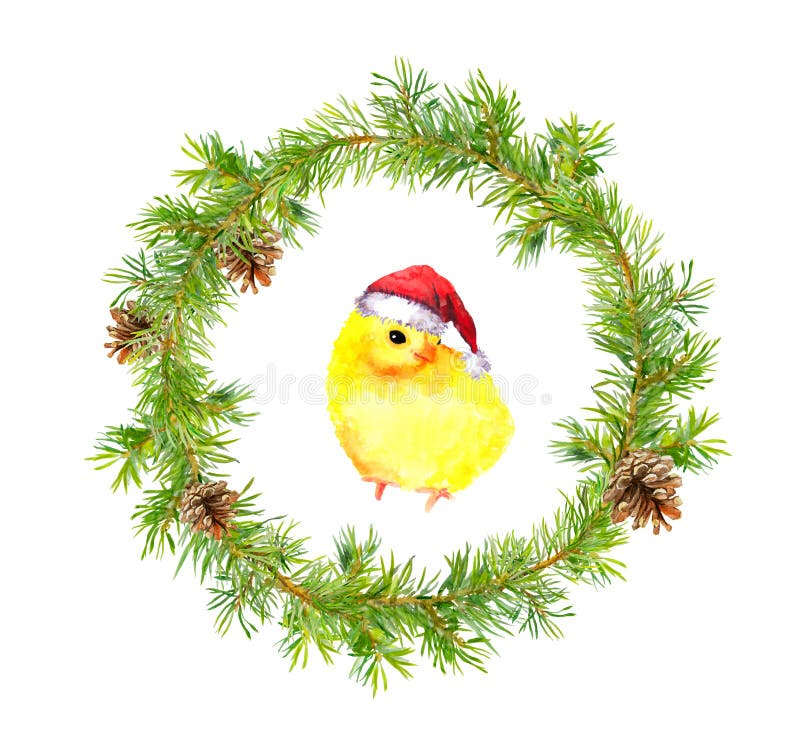 Il Natale si avvolge, piccolo gallo in cappello rosso del ` s di Santa Uccello dell'acquerello royalty illustrazione gratis Il Natale si avvolge, piccolo gallo in cappello rosso del ` s di Santa Uccello dell'acquerello royalty illustrazione gratis