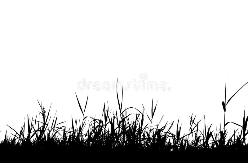 Il nero della siluetta dell'erba
