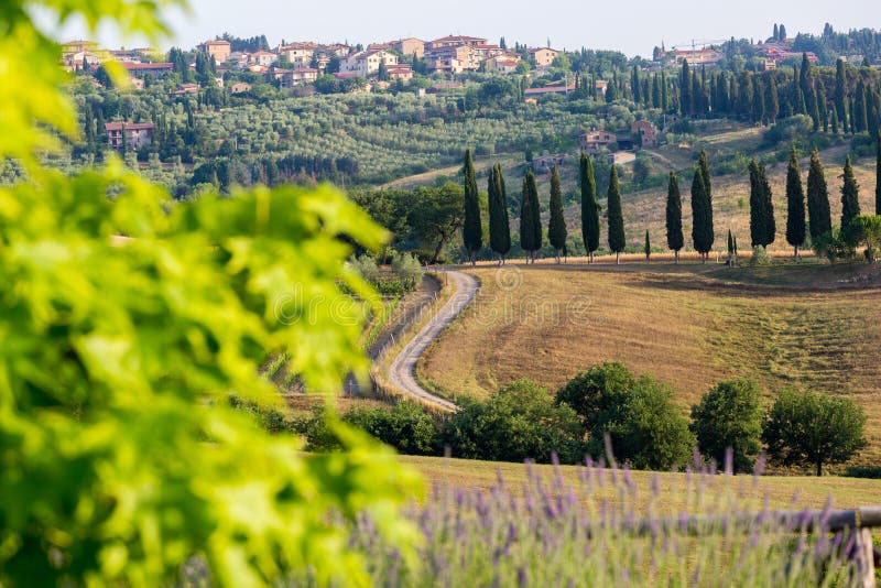 Il paesaggio toscano fotografie stock libere da diritti Il paesaggio toscano fotografie stock libere da diritti