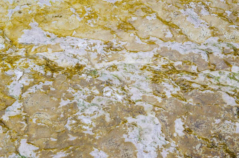 Il paese delle meraviglie del termale di Wai-O-Tapu fotografia stock Il paese delle meraviglie del termale di Wai-O-Tapu fotografia stock