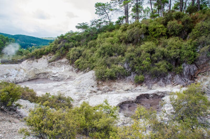 Il paese delle meraviglie termico di Wai-O-Tapu che è situato nel Distretto di Rotorua, Nuova Zelanda fotografia stock libera da diritti Il paese delle meraviglie termico di Wai-O-Tapu che è situato nel Distretto di Rotorua, Nuova Zelanda fotografia stock libera da diritti